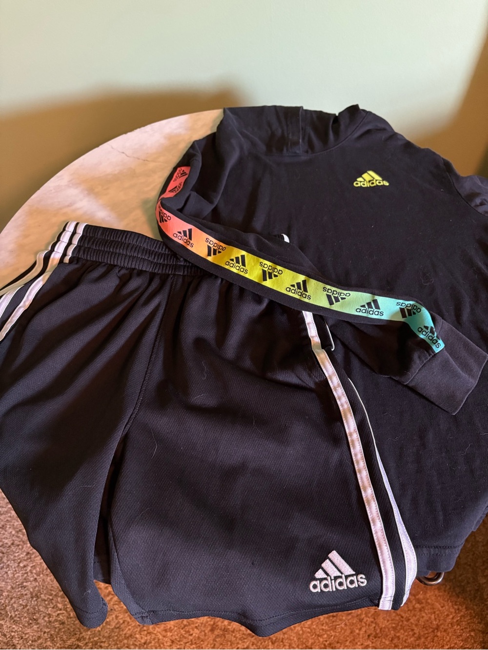 Adidas Boys shorts and long sleeve tee (10/12)
